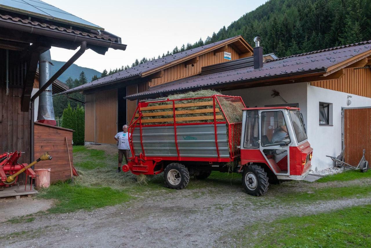Ottohof - Feldblick Apartman Colle Isarco Kültér fotó